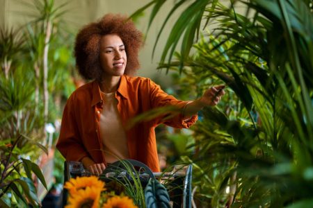 Meio-ambiente-e-sustentabilidade-